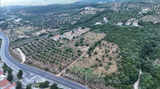 Αγροτεμάχια 9.400 τ.μ. για πώληση, Μεσσηνία, Πεταλίδι-thumb-6