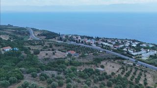 Αγροτεμάχια 9.400 τ.μ. για πώληση, Μεσσηνία, Πεταλίδι-thumb-15