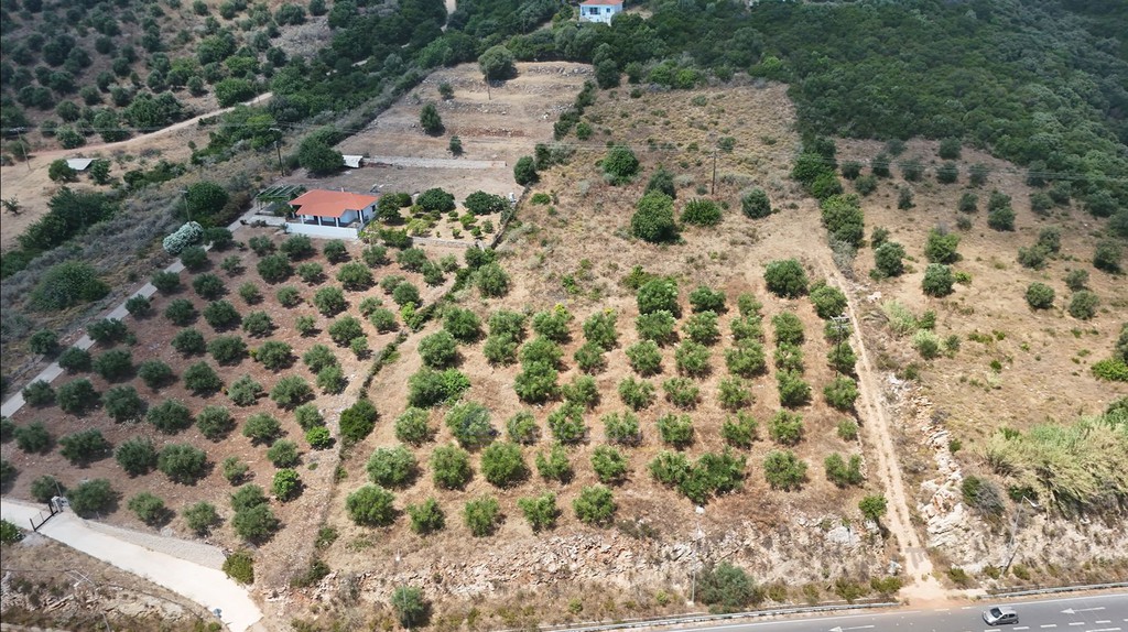 Αγροτεμάχια 9.400 τ.μ. προς πώληση, Κέντρο Πεταλιδίου