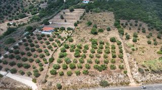 Αγροτεμάχια 9.400 τ.μ. για πώληση, Μεσσηνία, Πεταλίδι-thumb-2