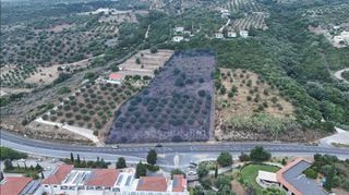 Αγροτεμάχια 9.400 τ.μ. για πώληση, Μεσσηνία, Πεταλίδι-thumb-1
