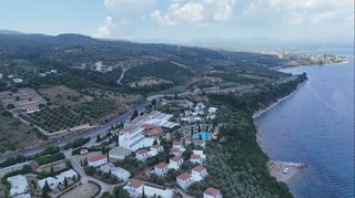 Αγροτεμάχια 9.400 τ.μ. για πώληση, Μεσσηνία, Πεταλίδι-thumb-9