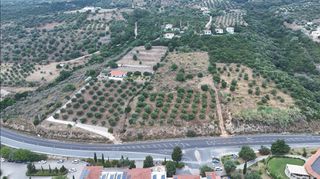 Αγροτεμάχια 9.400 τ.μ. για πώληση, Μεσσηνία, Πεταλίδι-thumb-18