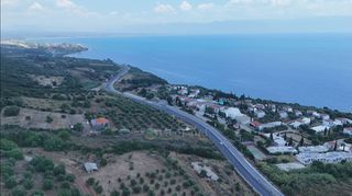 Αγροτεμάχια 9.400 τ.μ. για πώληση, Μεσσηνία, Πεταλίδι-thumb-8
