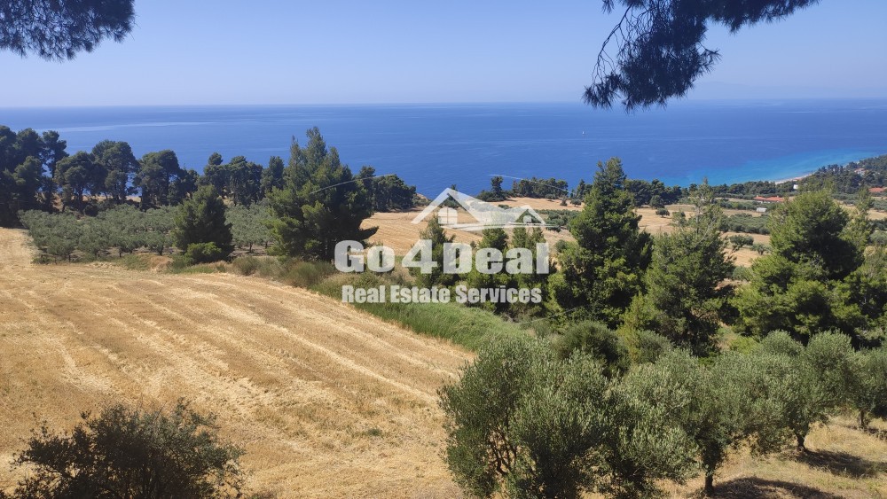 Αγροτεμάχια 4.572 τ.μ. πρός πώληση, Χαλκιδική, Κασσάνδρα