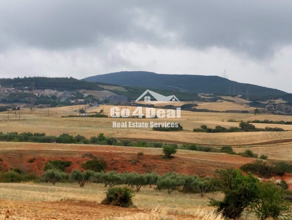 Αγροτεμάχια 12.000 τ.μ. πρός πώληση, Θεσσαλονίκη - Περιφ/Κοί Δήμοι, Θέρμη