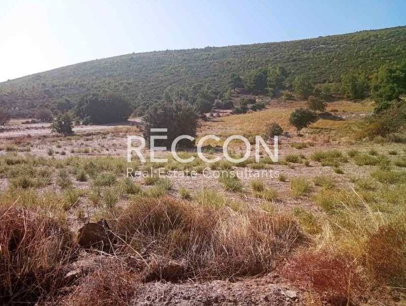 Οικόπεδο 4.500 τ.μ. προς πώληση, Αγία Μαρίνα Γραμματικού