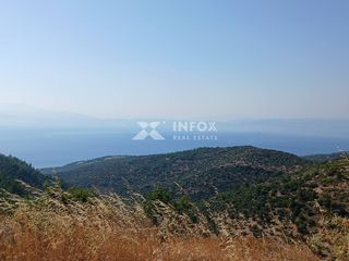 Αγροτεμάχια 8.000 τ.μ. για πώληση, Ν. Καβάλας, Θάσος-thumb-2