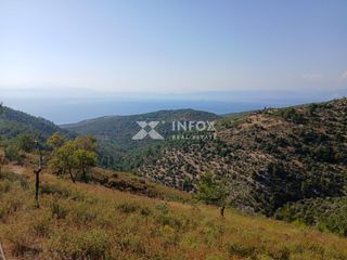 Αγροτεμάχια 8.000 τ.μ. για πώληση