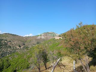 Αγροτεμάχια 8.000 τ.μ. για πώληση, Ν. Καβάλας, Θάσος-thumb-3