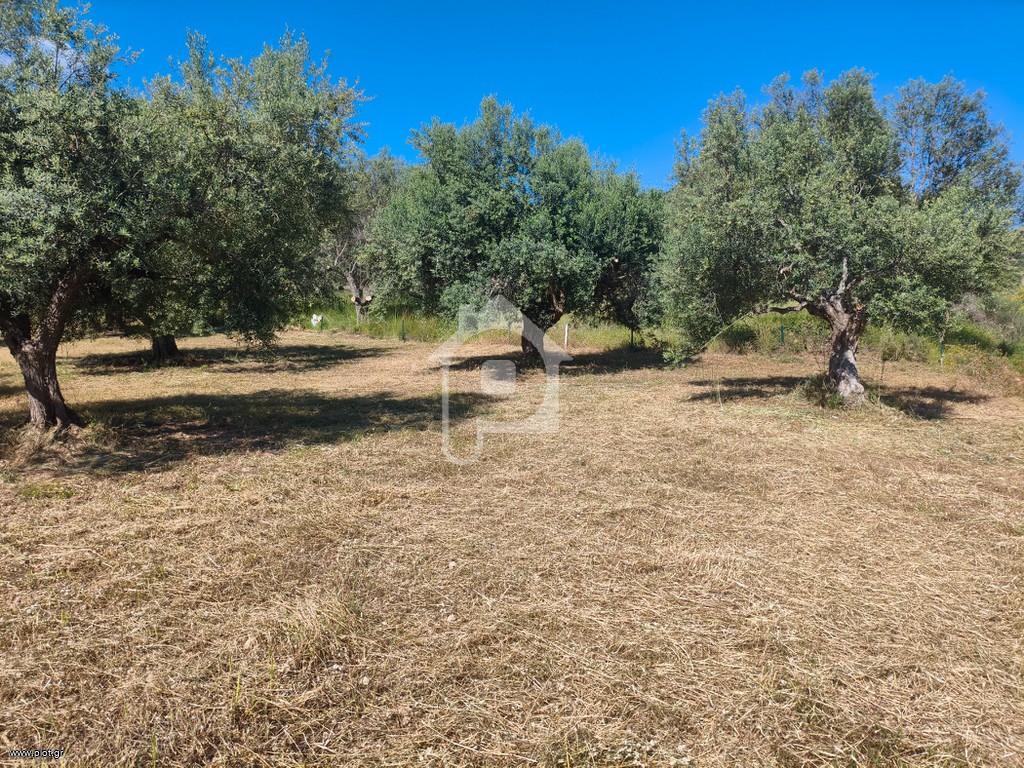 Αγροτεμάχια 4.800 τ.μ. προς πώληση, Καθολικό Διακοπτού