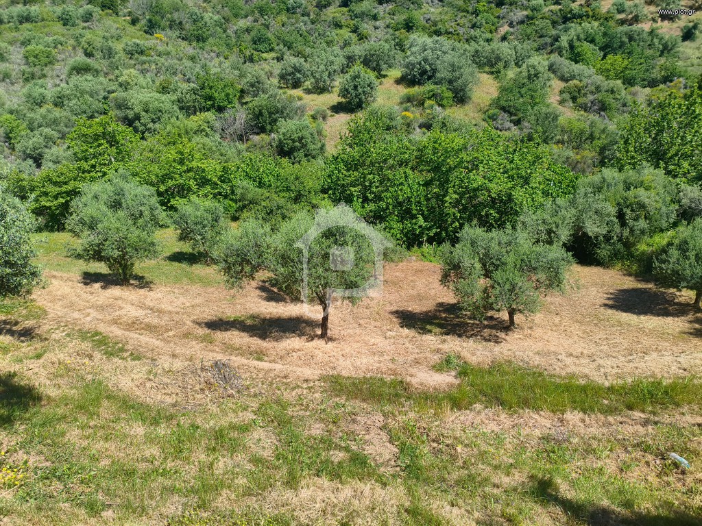 Αγροτεμάχια 4.800 τ.μ. προς πώληση, Καθολικό Διακοπτού