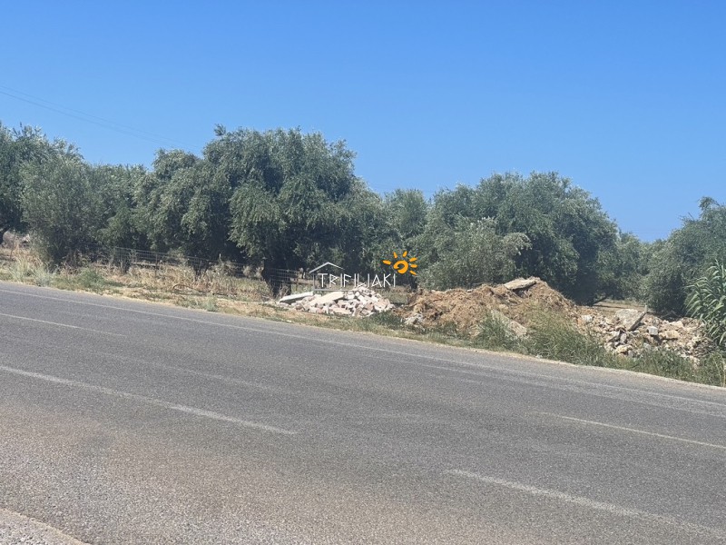 Αγροτεμάχια 8.945 τ.μ. προς πώληση, Κυπαρισσία Μεσσηνίας