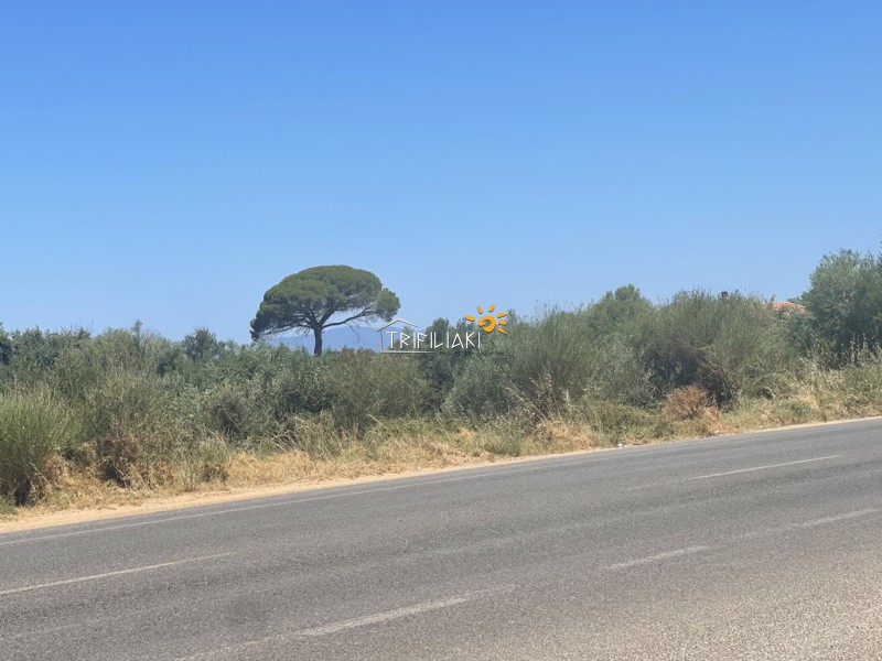 Αγροτεμάχια 8.945 τ.μ. προς πώληση, Κυπαρισσία Μεσσηνίας