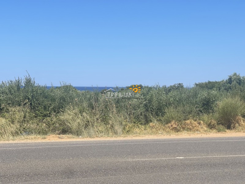 Αγροτεμάχια 8.945 τ.μ. προς πώληση, Κυπαρισσία Μεσσηνίας