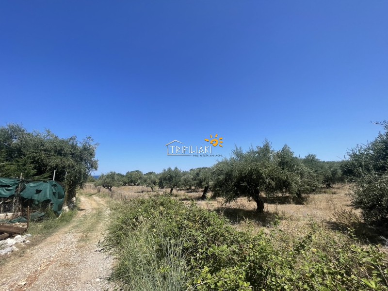 Αγροτεμάχια 8.945 τ.μ. προς πώληση, Κυπαρισσία Μεσσηνίας