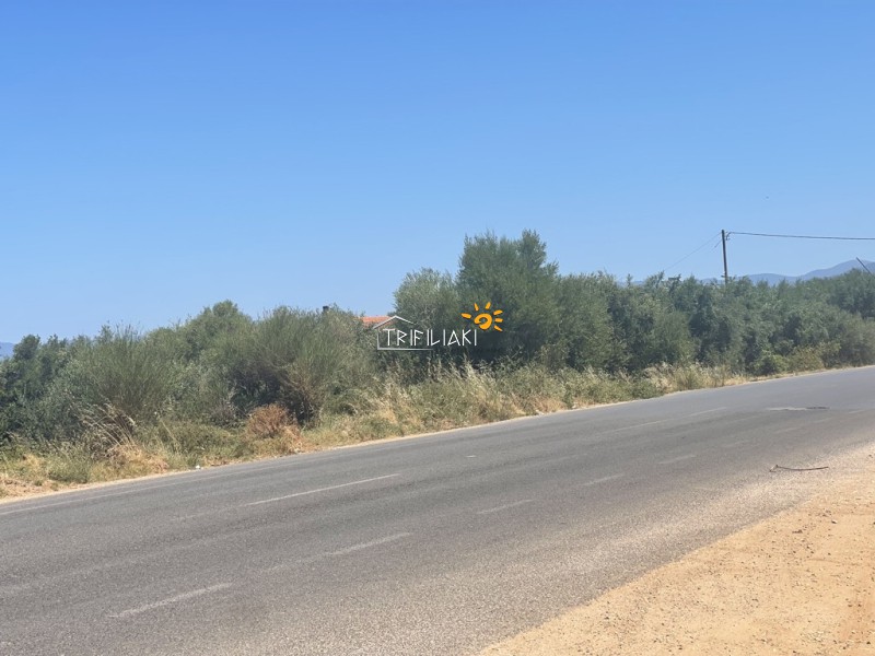Αγροτεμάχια 8.945 τ.μ. προς πώληση, Κυπαρισσία Μεσσηνίας