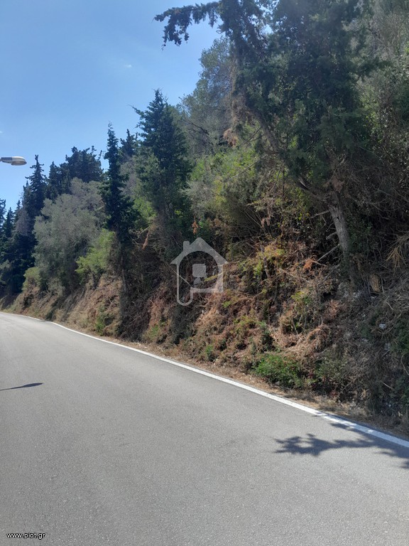 Οικόπεδο 4.100 τ.μ. για πώληση, Ν. Κέρκυρας, Παξοί