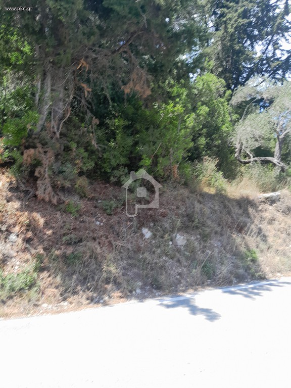 Οικόπεδο 4.100 τ.μ. προς πώληση, Λόγγος Παξών
