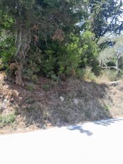 Οικόπεδο 4.100 τ.μ. για πώληση, Ν. Κέρκυρας, Παξοί-thumb-1