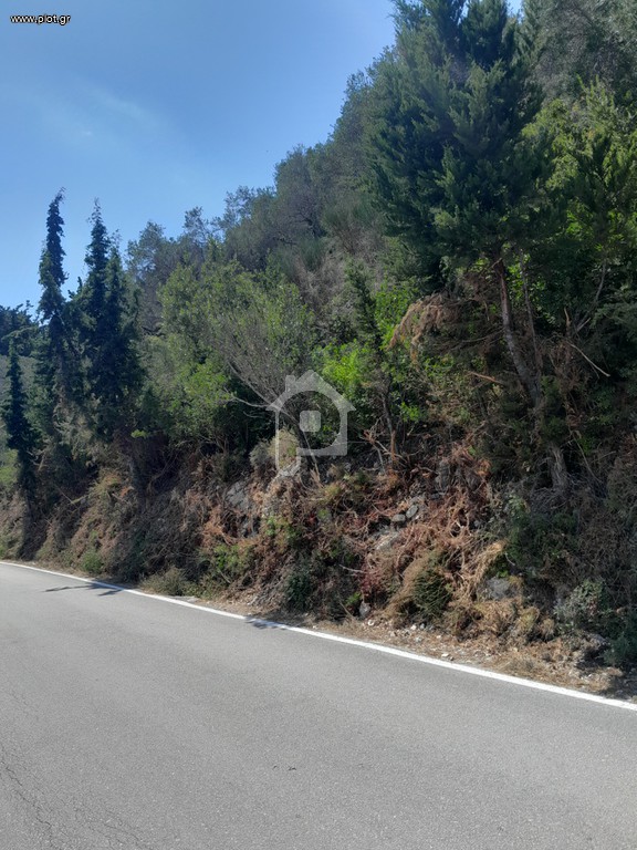 Οικόπεδο 4.100 τ.μ. προς πώληση, Λόγγος Παξών