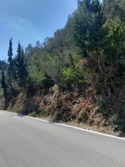 Οικόπεδο 4.100 τ.μ. για πώληση, Ν. Κέρκυρας, Παξοί-thumb-2