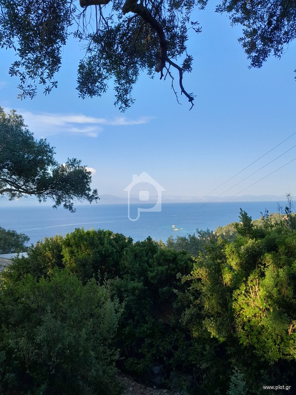 Οικόπεδο 4.100 τ.μ. προς πώληση, Λόγγος Παξών