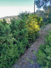 Οικόπεδο 4.100 τ.μ. για πώληση, Ν. Κέρκυρας, Παξοί-thumb-5
