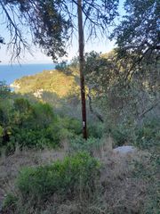Οικόπεδο 4.100 τ.μ. για πώληση, Ν. Κέρκυρας, Παξοί-thumb-9