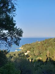 Οικόπεδο 4.100 τ.μ. για πώληση, Ν. Κέρκυρας, Παξοί-thumb-12