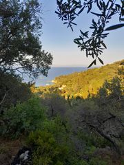 Οικόπεδο 4.100 τ.μ. για πώληση, Ν. Κέρκυρας, Παξοί-thumb-14