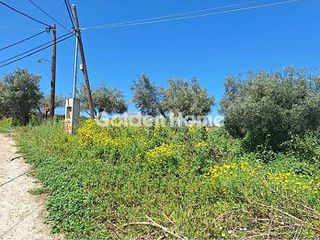 Αγροτεμάχια 5.706 τ.μ. για πώληση