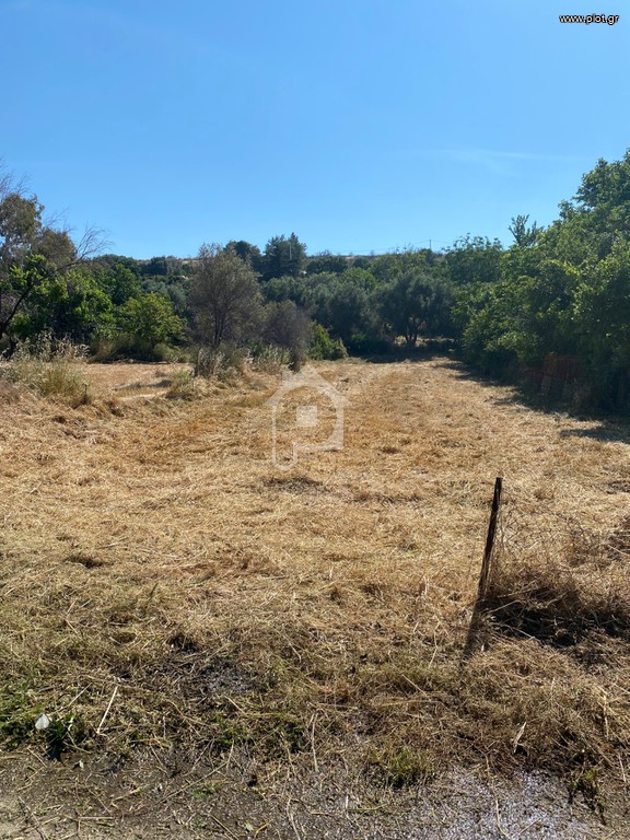 Αγροτεμάχια 800 τ.μ. προς πώληση, Βόθωνας