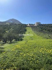 Οικόπεδο 2.000 τ.μ. για πώληση