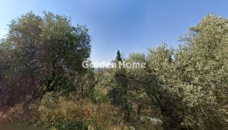 Οικόπεδο 25.000 τ.μ. για πώληση