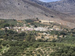 Αγροτεμάχια 219 τ.μ. για πώληση