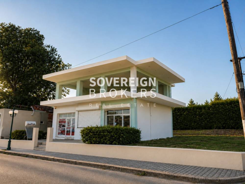 Μονοκατοικία 330 τ.μ. προς πώληση, Σχολάρι