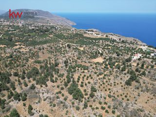 Οικόπεδο 15.470 τ.μ. για πώληση