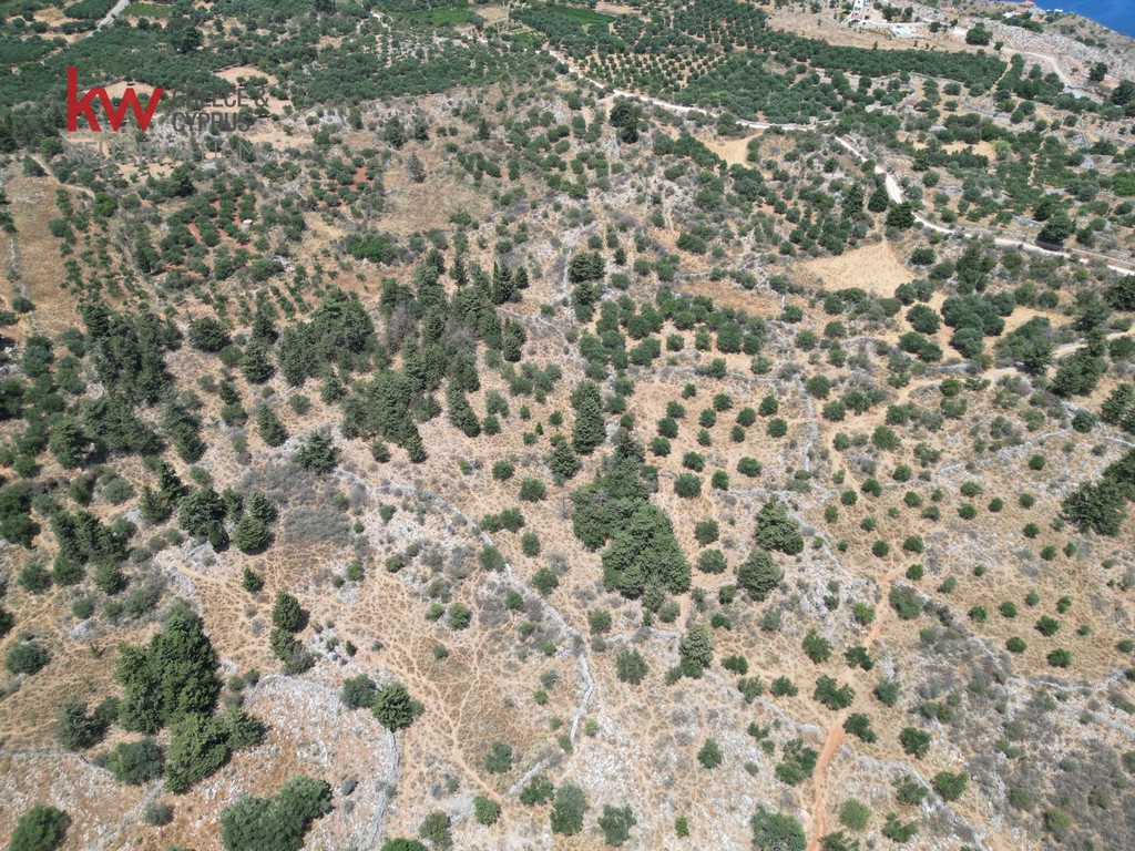 Οικόπεδο 15.470 τ.μ. προς πώληση, Κεφαλάς Βάμου