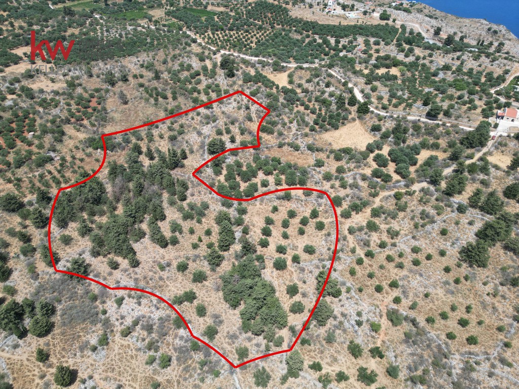 Οικόπεδο 15.470 τ.μ. προς πώληση, Κεφαλάς Βάμου