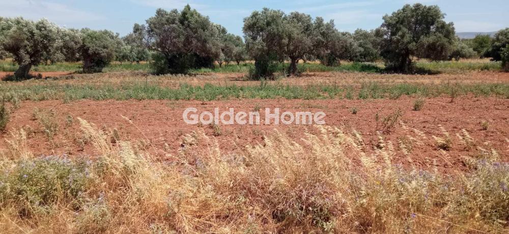 Αγροτεμάχια 324 τ.μ. προς πώληση, Κέντρο Κορωπίου