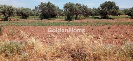 Αγροτεμάχια 324 τ.μ. προς πώληση