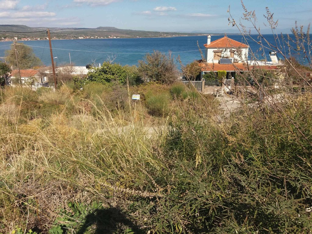 Οικόπεδο 780 τ.μ. πρός πώληση, Ν. Λέσβου, Λέσβος - Μανταμάδος