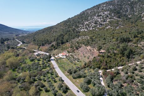 Αγροτεμάχια 12.032 τ.μ. προς πώληση