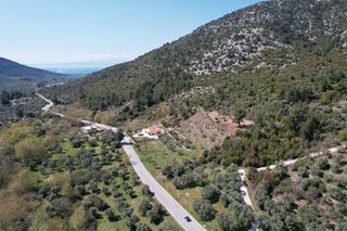 Αγροτεμάχια 12.032 τ.μ. για πώληση