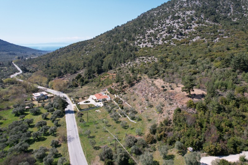Αγροτεμάχια 12.032 τ.μ. προς πώληση, Ραχώνι