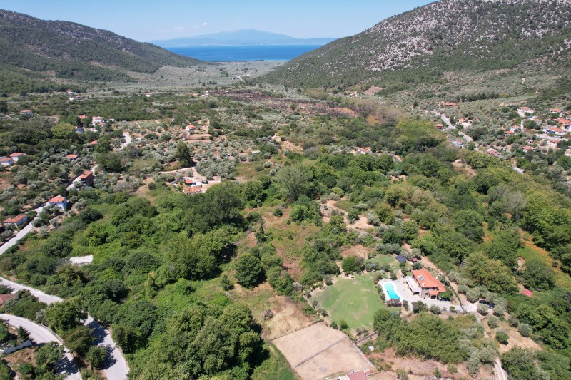 Αγροτεμάχια 12.032 τ.μ. προς πώληση, Ραχώνι