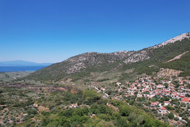 Αγροτεμάχια 12.032 τ.μ. προς πώληση, Ραχώνι