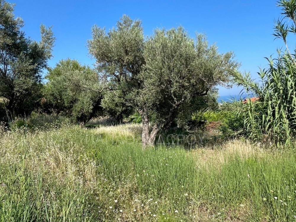 Αγροτεμάχια 1.290 τ.μ. πρός πώληση, Αχαΐα, Πάτρα