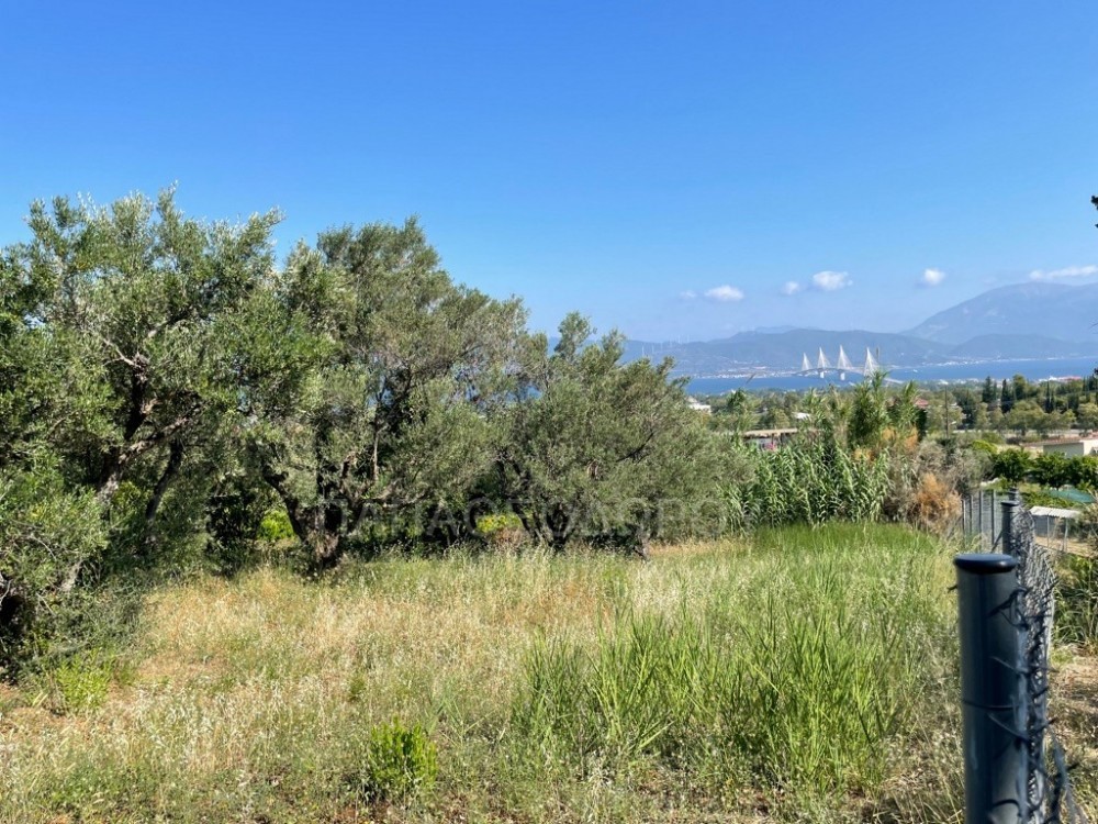 Αγροτεμάχια 1.290 τ.μ. πρός πώληση, Αχαΐα, Πάτρα